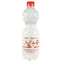 Flesjes water met kerst etiket - 500 ml